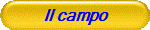  Il campo