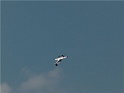 Gt_448F