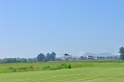 DSC_6080