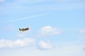 DSC_1977