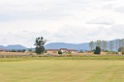 DSC_2003
